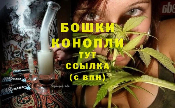 индика Верхнеуральск